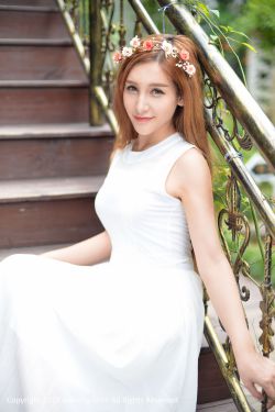 一本正经电视剧